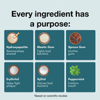 Underbrush Remineralizing Gum